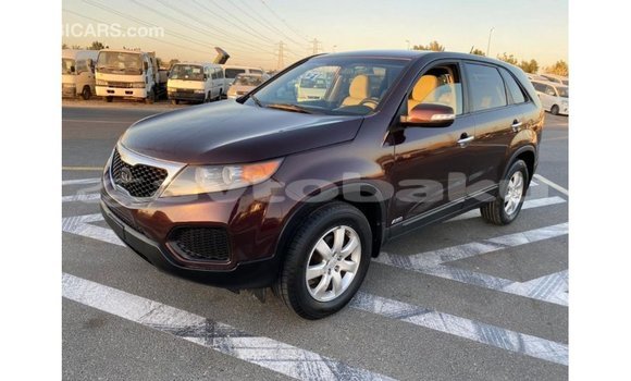 Buy Import Kia Sorento Brown Car in Import - Dubai in Abseron Buy Import Kia Sorento Brown Car in Import - Dubai in Abseron