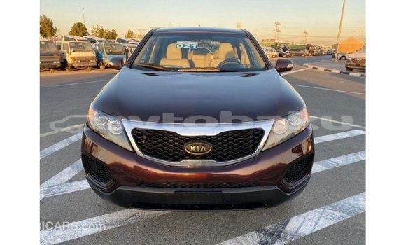 Buy Import Kia Sorento Brown Car in Import - Dubai in Abseron Buy Import Kia Sorento Brown Car in Import - Dubai in Abseron