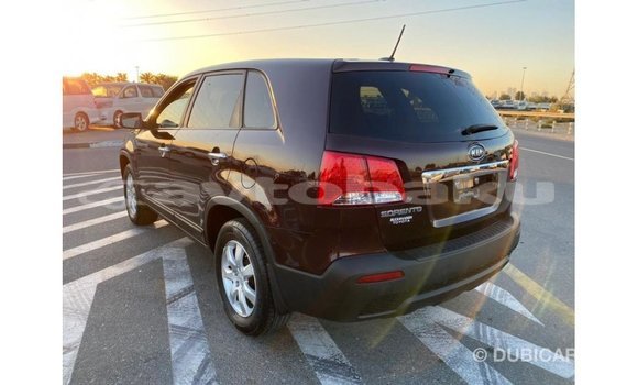Buy Import Kia Sorento Brown Car in Import - Dubai in Abseron Buy Import Kia Sorento Brown Car in Import - Dubai in Abseron