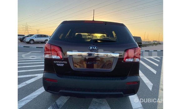 Buy Import Kia Sorento Brown Car in Import - Dubai in Abseron Buy Import Kia Sorento Brown Car in Import - Dubai in Abseron