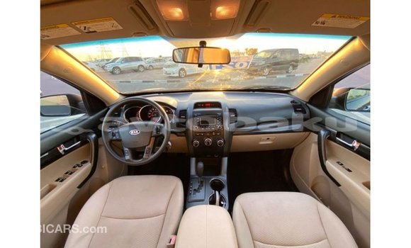 Buy Import Kia Sorento Brown Car in Import - Dubai in Abseron Buy Import Kia Sorento Brown Car in Import - Dubai in Abseron