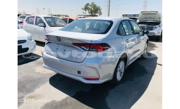 Buy Import Toyota Corolla White Car in Import - Dubai in Abseron Buy Import Toyota Corolla White Car in Import - Dubai in Abseron