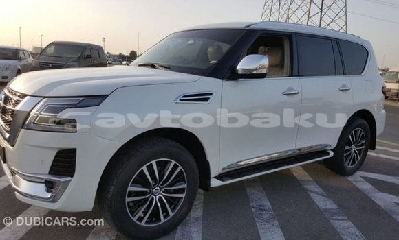 Buy Import Nissan Patrol White Car in Import - Dubai in Abseron Buy Import Nissan Patrol White Car in Import - Dubai in Abseron