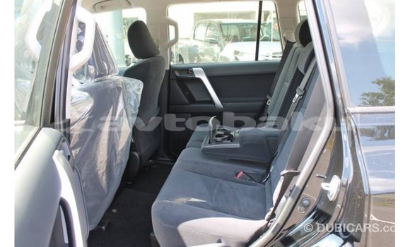 Buy Import Toyota Prado Black Car in Import - Dubai in Abseron Buy Import Toyota Prado Black Car in Import - Dubai in Abseron