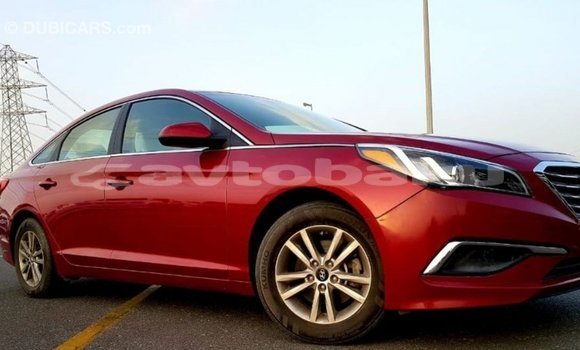 Buy Import Hyundai Sonata Red Car in Import - Dubai in Abseron Buy Import Hyundai Sonata Red Car in Import - Dubai in Abseron