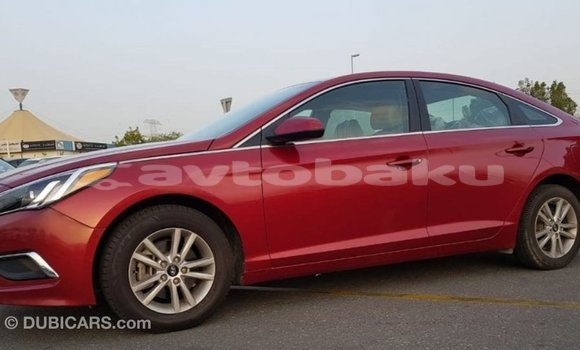 Buy Import Hyundai Sonata Red Car in Import - Dubai in Abseron Buy Import Hyundai Sonata Red Car in Import - Dubai in Abseron