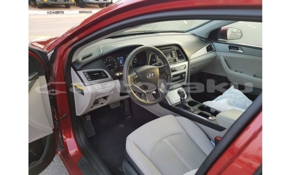 Buy Import Hyundai Sonata Red Car in Import - Dubai in Abseron Buy Import Hyundai Sonata Red Car in Import - Dubai in Abseron