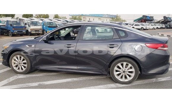 Buy Import Kia Optima Other Car in Import - Dubai in Abseron Buy Import Kia Optima Other Car in Import - Dubai in Abseron