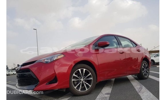 Buy Import Toyota Corolla Red Car in Import - Dubai in Abseron Buy Import Toyota Corolla Red Car in Import - Dubai in Abseron