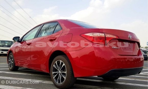Buy Import Toyota Corolla Red Car in Import - Dubai in Abseron Buy Import Toyota Corolla Red Car in Import - Dubai in Abseron