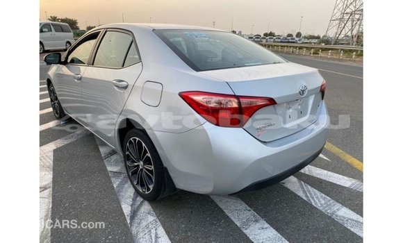 Buy Import Toyota Corolla Other Car in Import - Dubai in Abseron Buy Import Toyota Corolla Other Car in Import - Dubai in Abseron