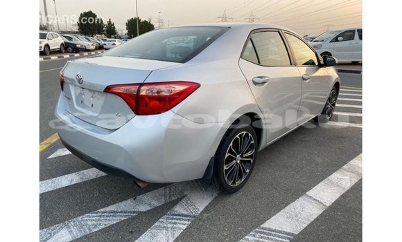 Buy Import Toyota Corolla Other Car in Import - Dubai in Abseron Buy Import Toyota Corolla Other Car in Import - Dubai in Abseron