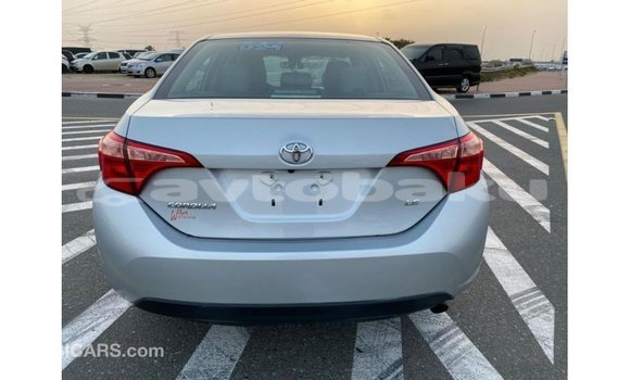 Buy Import Toyota Corolla Other Car in Import - Dubai in Abseron Buy Import Toyota Corolla Other Car in Import - Dubai in Abseron