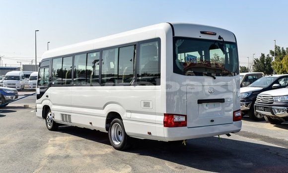 Buy Import Toyota Coaster White Car in Import - Dubai in Abseron Buy Import Toyota Coaster White Car in Import - Dubai in Abseron