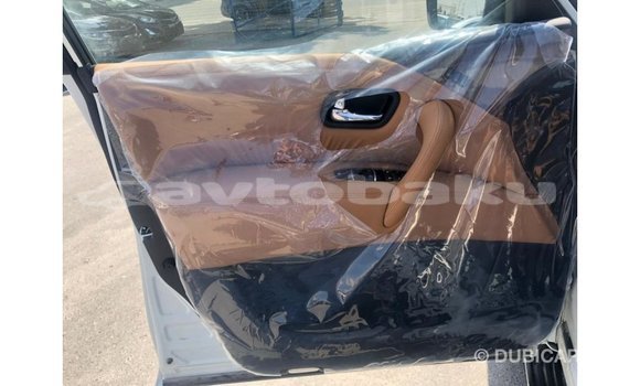 Buy Import Nissan Patrol White Car in Import - Dubai in Abseron Buy Import Nissan Patrol White Car in Import - Dubai in Abseron