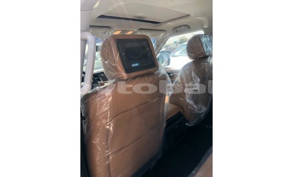Buy Import Nissan Patrol White Car in Import - Dubai in Abseron Buy Import Nissan Patrol White Car in Import - Dubai in Abseron