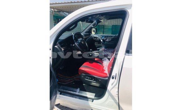 Buy Import Lexus LX White Car in Import - Dubai in Abseron Buy Import Lexus LX White Car in Import - Dubai in Abseron