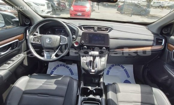 Buy Import Honda C Other Bike in Import - Dubai in Abseron Buy Import Honda C Other Bike in Import - Dubai in Abseron