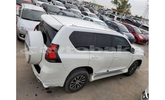 Buy Import Toyota Prado White Car in Import - Dubai in Abseron Buy Import Toyota Prado White Car in Import - Dubai in Abseron