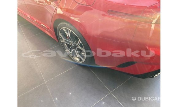Buy Import Kia Stinger Red Car in Import - Dubai in Abseron Buy Import Kia Stinger Red Car in Import - Dubai in Abseron
