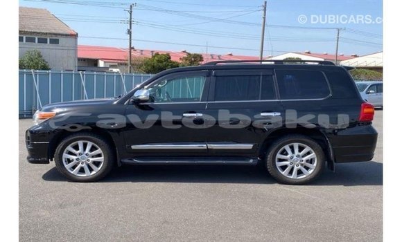 Buy Import Toyota Land Cruiser Black Car in Import - Dubai in Abseron Buy Import Toyota Land Cruiser Black Car in Import - Dubai in Abseron