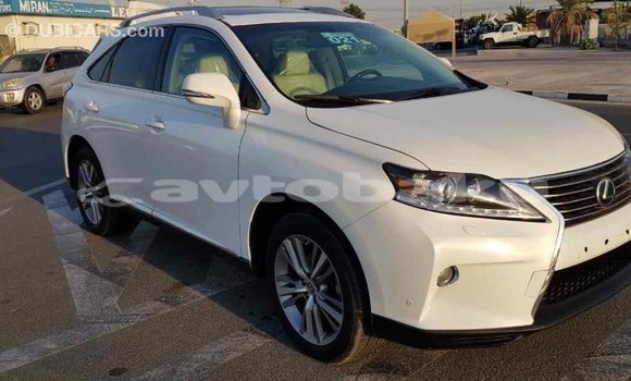 Buy Import Lexus RX 350 White Car in Import - Dubai in Abseron Buy Import Lexus RX 350 White Car in Import - Dubai in Abseron