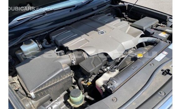 Buy Import Toyota Land Cruiser Black Car in Import - Dubai in Abseron Buy Import Toyota Land Cruiser Black Car in Import - Dubai in Abseron