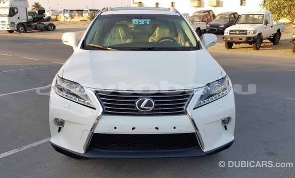 Buy Import Lexus RX 350 White Car in Import - Dubai in Abseron Buy Import Lexus RX 350 White Car in Import - Dubai in Abseron