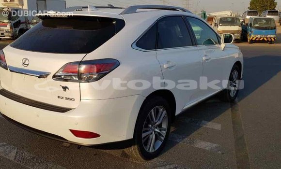 Buy Import Lexus RX 350 White Car in Import - Dubai in Abseron Buy Import Lexus RX 350 White Car in Import - Dubai in Abseron