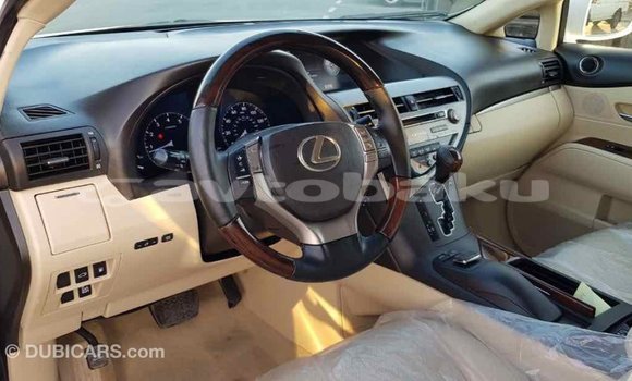 Buy Import Lexus RX 350 White Car in Import - Dubai in Abseron Buy Import Lexus RX 350 White Car in Import - Dubai in Abseron
