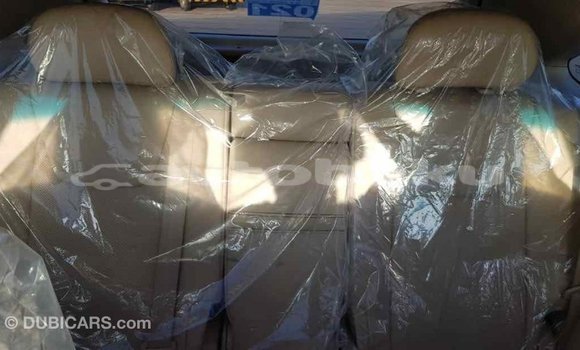 Buy Import Lexus RX 350 White Car in Import - Dubai in Abseron Buy Import Lexus RX 350 White Car in Import - Dubai in Abseron