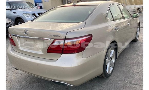 Buy Import Lexus LS Other Car in Import - Dubai in Abseron Buy Import Lexus LS Other Car in Import - Dubai in Abseron
