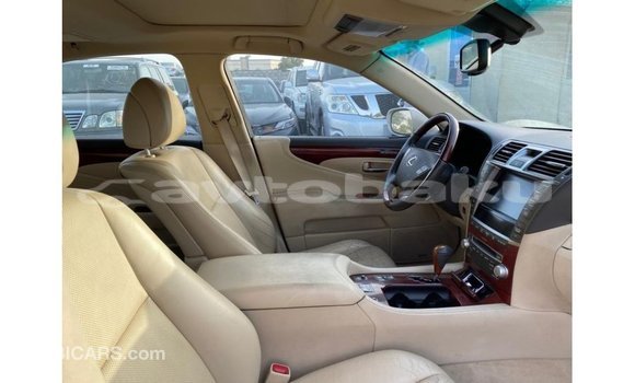 Buy Import Lexus LS Other Car in Import - Dubai in Abseron Buy Import Lexus LS Other Car in Import - Dubai in Abseron