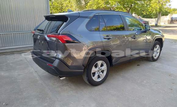 Buy Used Toyota RAV4 Brown Car in Amircan in Saki Buy Used Toyota RAV4 Brown Car in Amircan in Saki