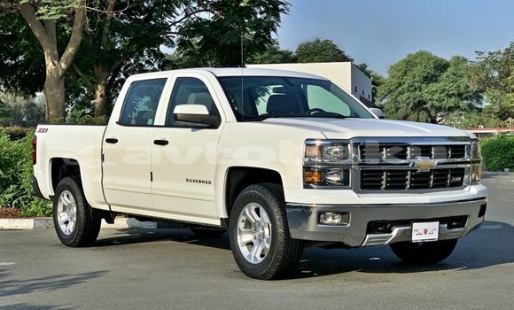 Buy Import Chevrolet Silverado White Car in Import - Dubai in Abseron