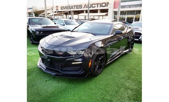 Buy Import Chevrolet Camaro Black Car in Import - Dubai in Abseron Buy Import Chevrolet Camaro Black Car in Import - Dubai in Abseron