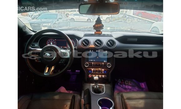 Buy Import Ford Mustang Black Car in Import - Dubai in Abseron Buy Import Ford Mustang Black Car in Import - Dubai in Abseron