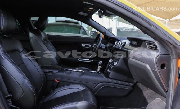 Buy Import Ford Mustang Other Car in Import - Dubai in Abseron Buy Import Ford Mustang Other Car in Import - Dubai in Abseron
