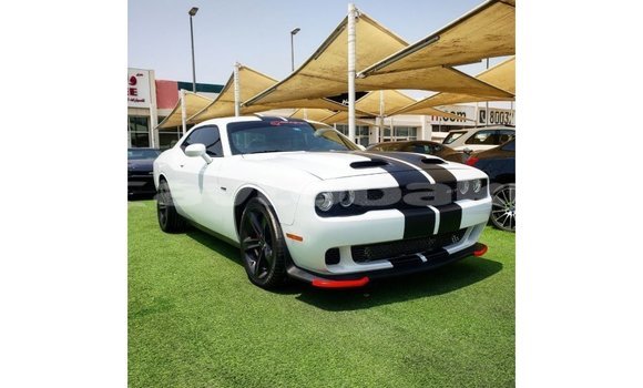 Buy Import Dodge Challenger White Car in Import - Dubai in Abseron