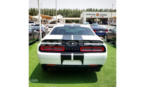 Buy Import Dodge Challenger White Car in Import - Dubai in Abseron Buy Import Dodge Challenger White Car in Import - Dubai in Abseron