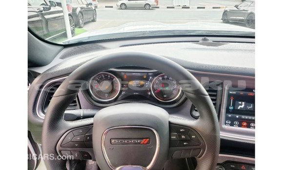 Buy Import Dodge Challenger White Car in Import - Dubai in Abseron Buy Import Dodge Challenger White Car in Import - Dubai in Abseron