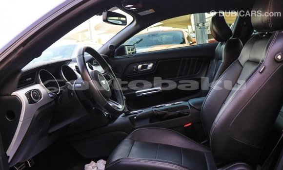 Buy Import Ford Mustang Black Car in Import - Dubai in Abseron Buy Import Ford Mustang Black Car in Import - Dubai in Abseron