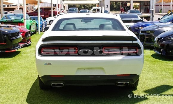 Buy Import Dodge Challenger White Car in Import - Dubai in Abseron Buy Import Dodge Challenger White Car in Import - Dubai in Abseron