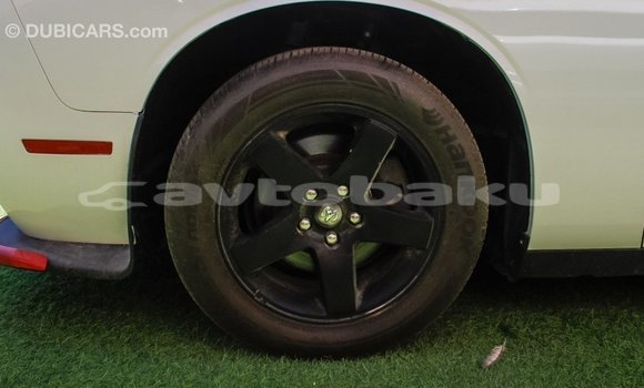 Buy Import Dodge Challenger White Car in Import - Dubai in Abseron Buy Import Dodge Challenger White Car in Import - Dubai in Abseron