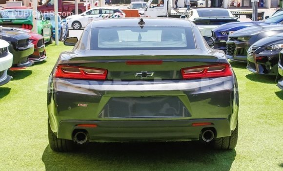 Buy Import Chevrolet Camaro Other Car in Import - Dubai in Abseron Buy Import Chevrolet Camaro Other Car in Import - Dubai in Abseron