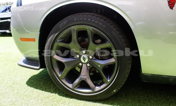 Buy Import Dodge Challenger Other Car in Import - Dubai in Abseron Buy Import Dodge Challenger Other Car in Import - Dubai in Abseron