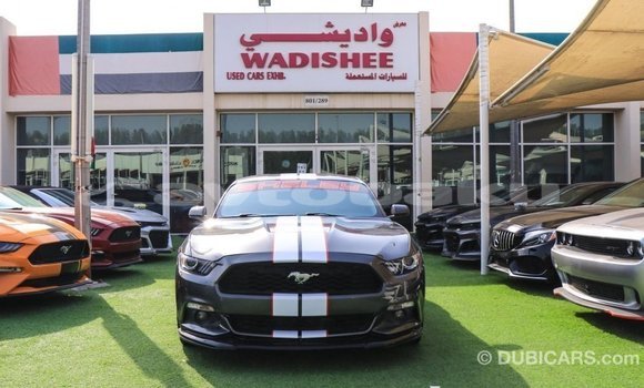 Buy Import Ford Mustang Other Car in Import - Dubai in Abseron Buy Import Ford Mustang Other Car in Import - Dubai in Abseron