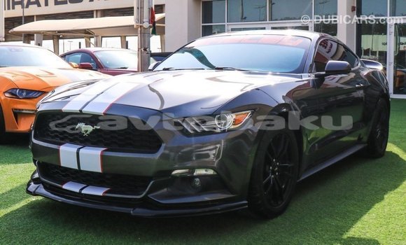 Buy Import Ford Mustang Other Car in Import - Dubai in Abseron Buy Import Ford Mustang Other Car in Import - Dubai in Abseron