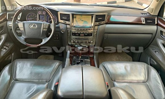 Buy Import Lexus LX Other Car in Import - Dubai in Abseron Buy Import Lexus LX Other Car in Import - Dubai in Abseron