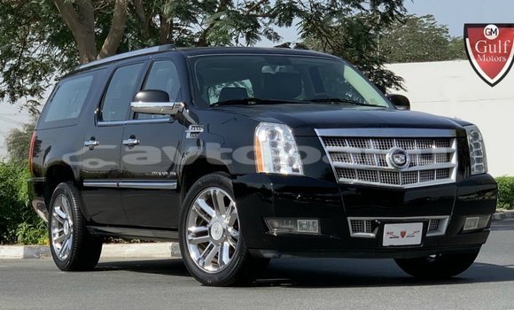 Buy Import Cadillac Escalade Black Car in Import - Dubai in Abseron